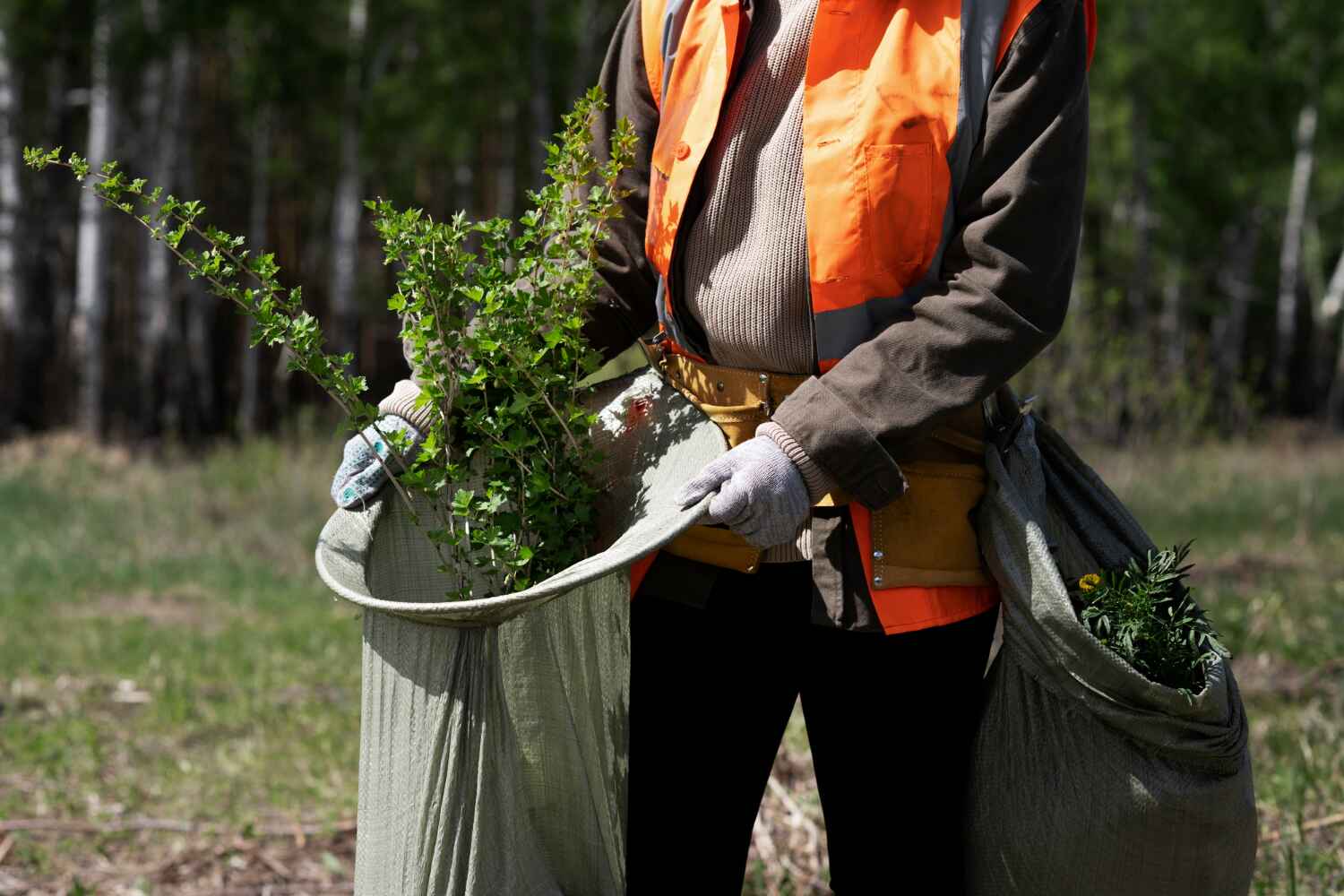 Best Tree Trimming Near Me  in Yuma, CO